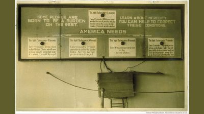 Flashing lights exhibit from Fitter Families Contest