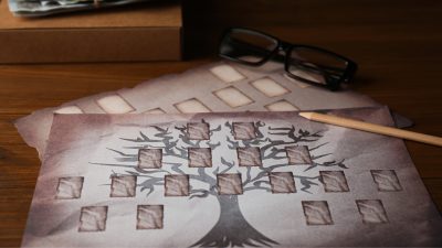 A family tree on a piece of paper.