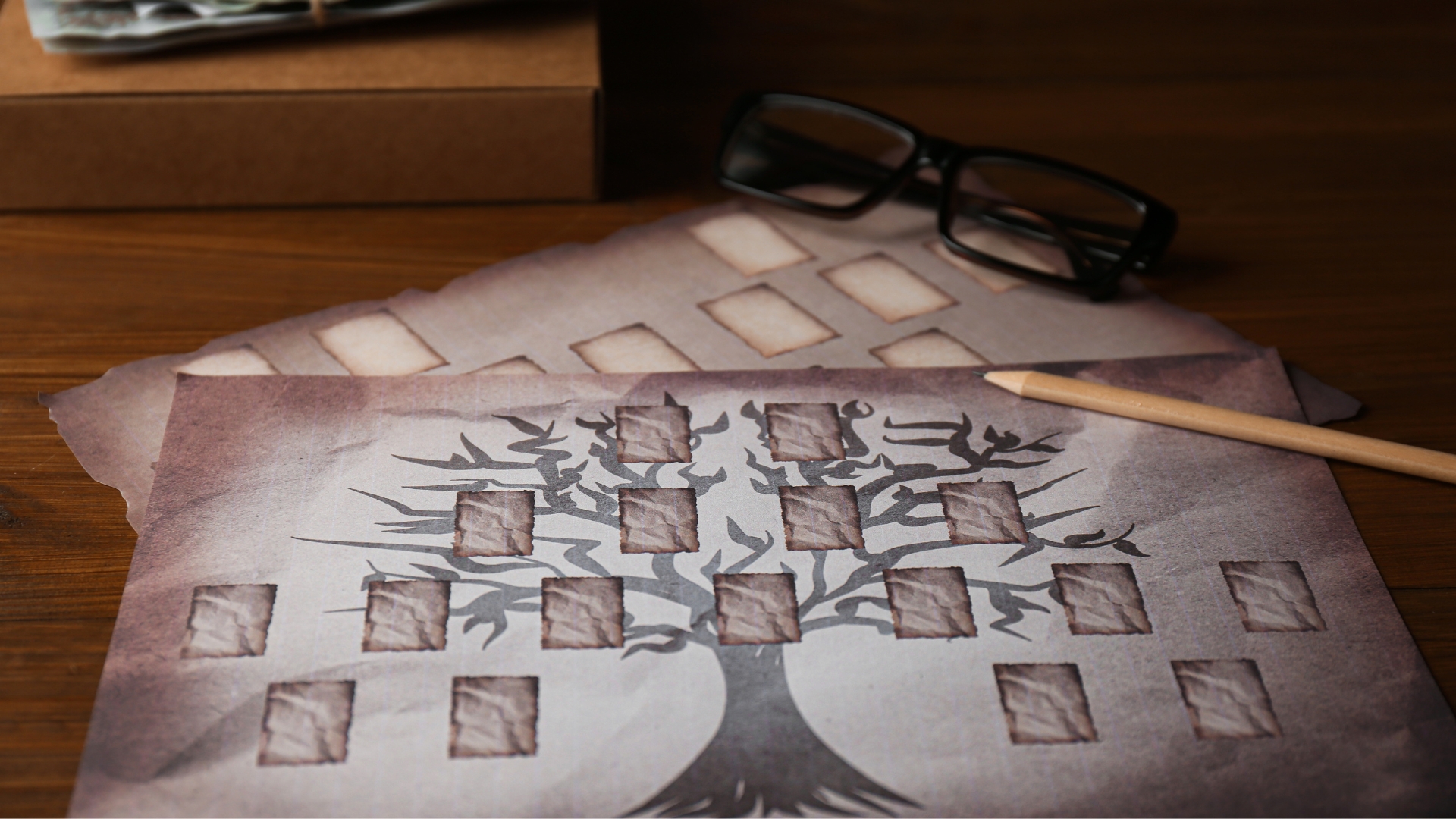 A family tree on a piece of paper.