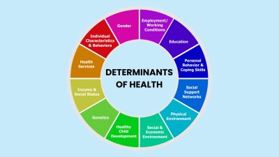 A colorful wheel with twelve 'determinants of health' listed in each section.